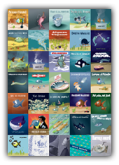 Poster poissons frais