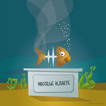 Creatures - Poissons frais - Morue Kante