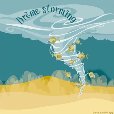 Creatures - Poissons frais - Br&egrave;me storming
