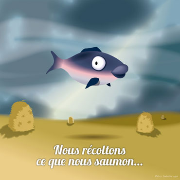 Creatures - Poissons frais - Nous r&eacute;coltons ce que nous saumon