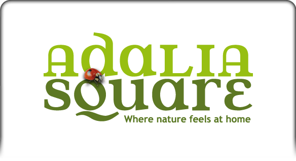 Creatures - Logos - AdaliaSquare