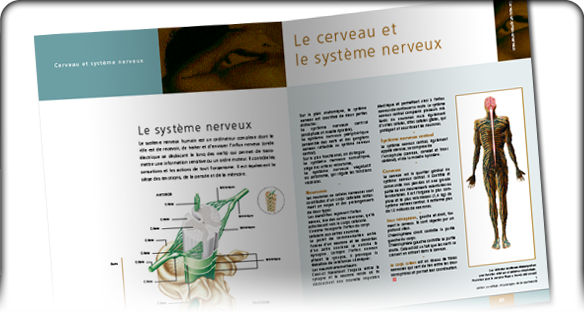 Creatures - Mises en page - Encyclop&eacute;die m&eacute;dicale