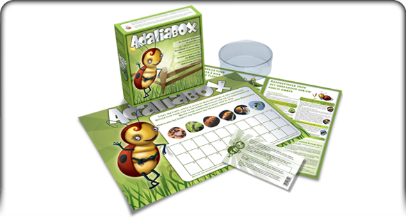 Creatures - Packagings - AdaliaBox
