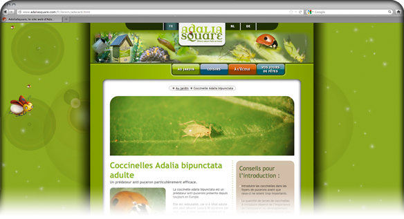 Creatures - Web Design - AdaliaSquare